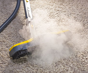 how to care for your water damaged rugs and carpet