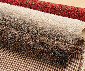 what your carpet says about you
