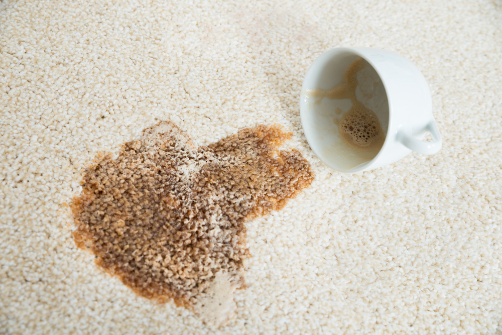Carpet coffee stain