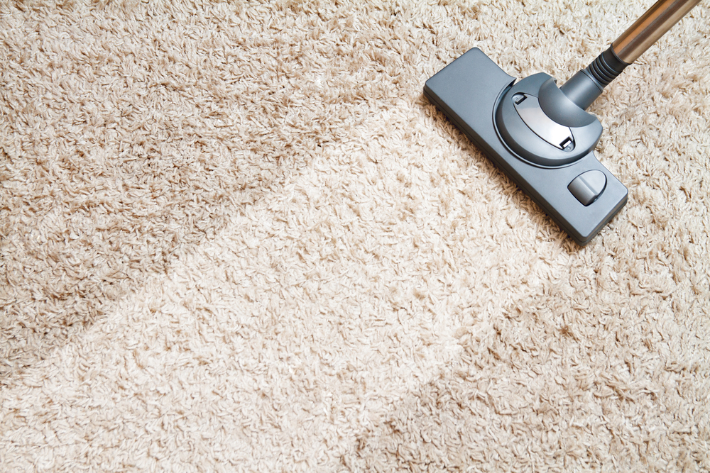 tackle fall allergies with carpet cleaning